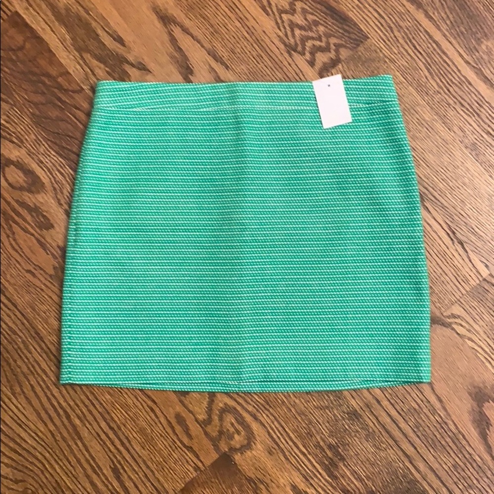 NWT J Crew Factory Green Skirt; Size 4